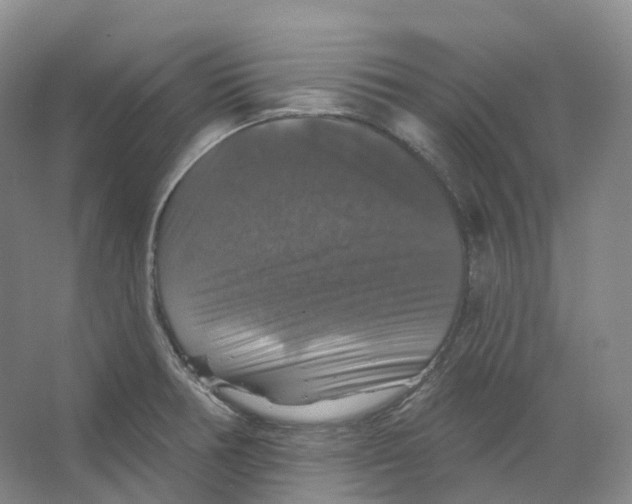 X0000066511378200604141737