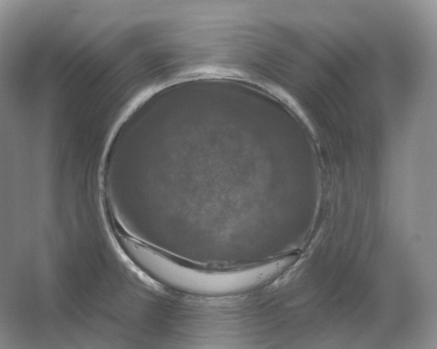 X0000066511381200604141737