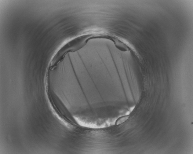 X0000066511383200604141737