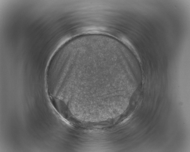 X0000066511384200604141737