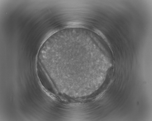X0000066511386200604141737