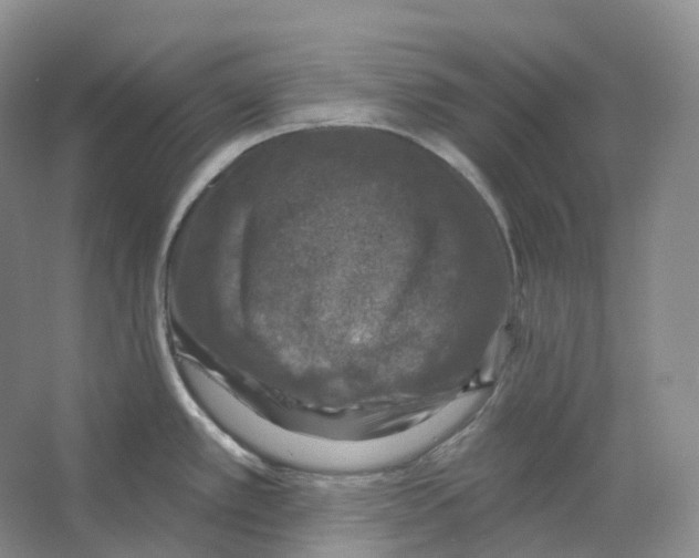 X0000066511389200604141737