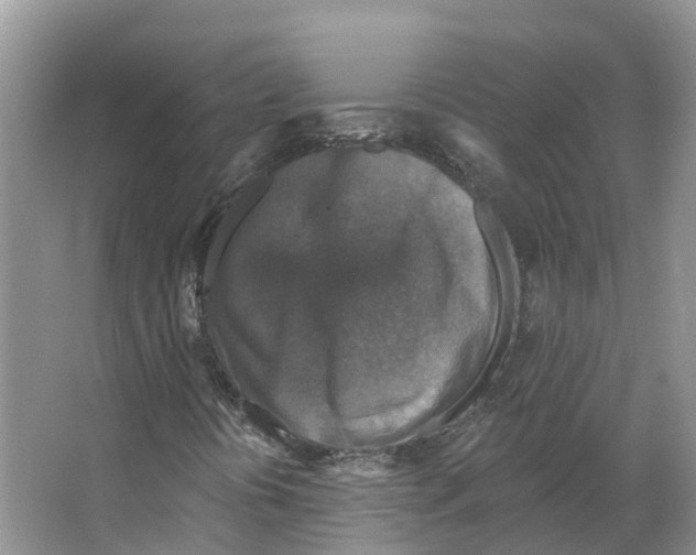 X0000066511394200604141736