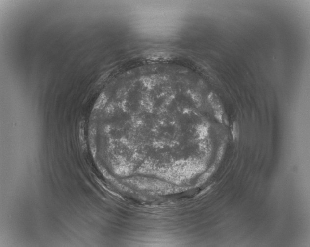 X0000066511396200604141736