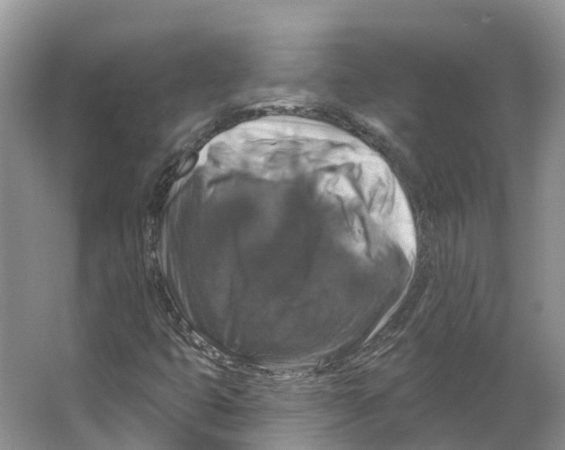 X0000066511399200604141736
