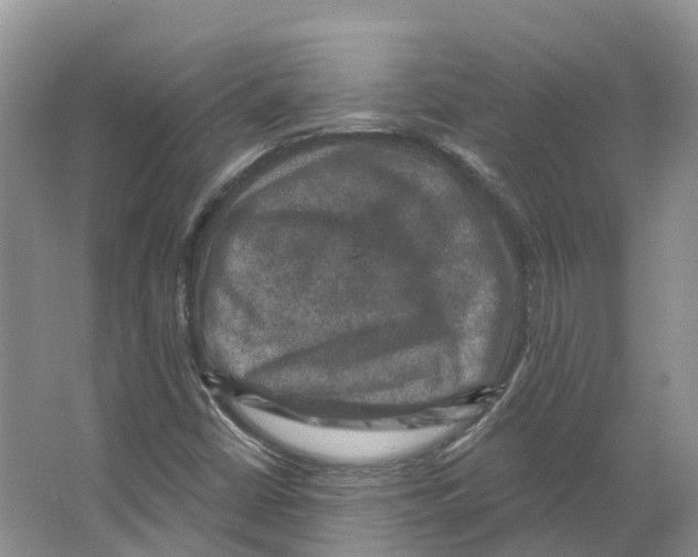 X0000066511402200604141736