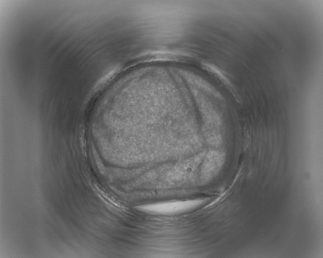 X0000066511403200604141736