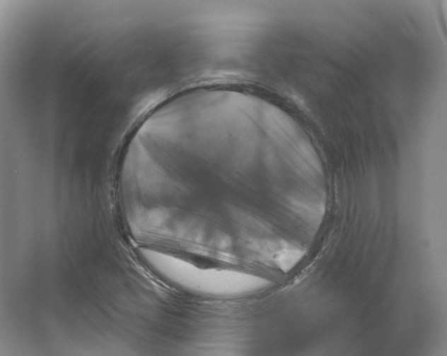 X0000066511405200604141736