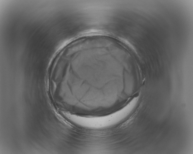 X0000066511413200604141736