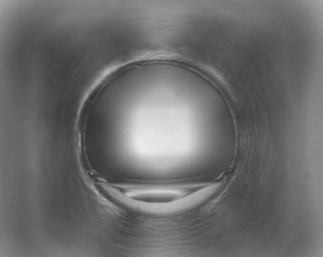 X0000066511414200604141736