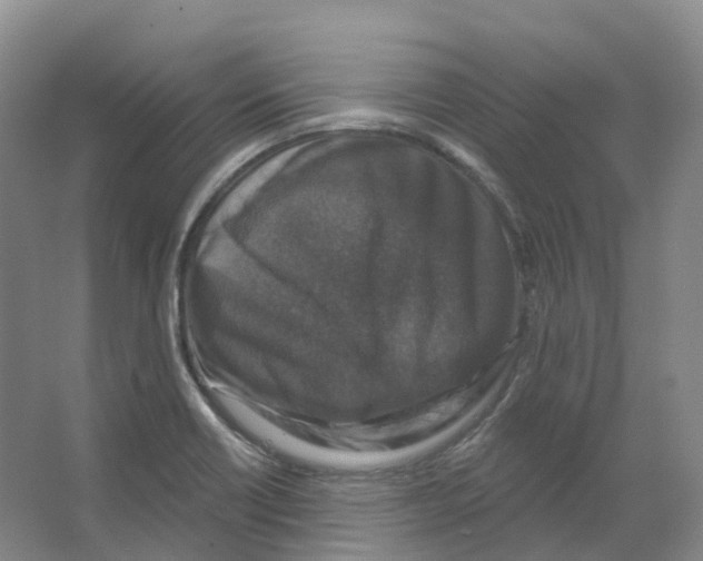 X0000066511418200604141736
