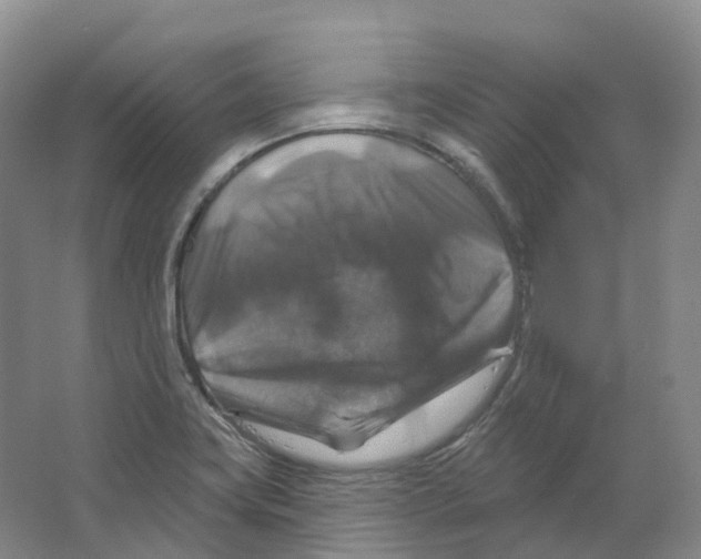 X0000066511419200604141736