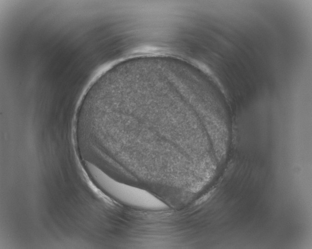 X0000066511421200604141736