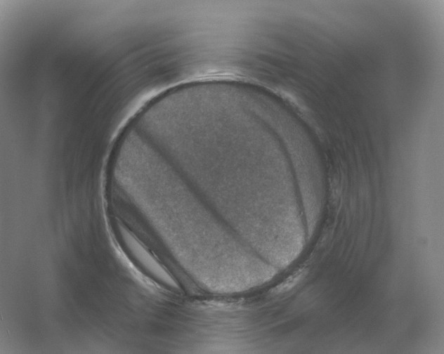 X0000066511422200604141736
