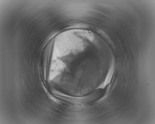 X0000066511425200604141736