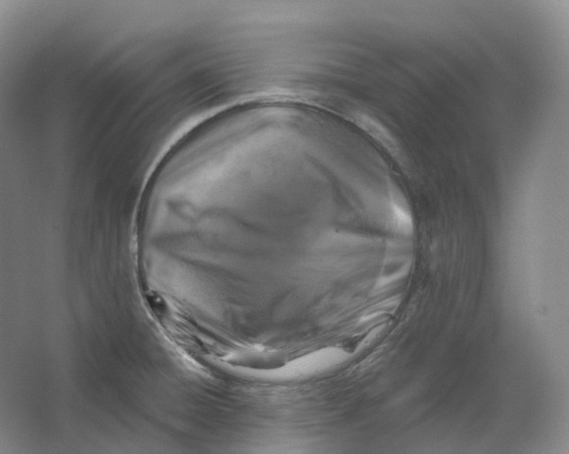 X0000066511428200604141736