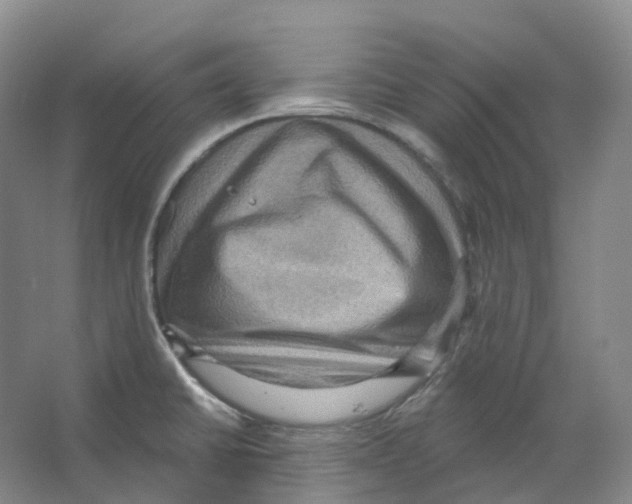 X0000066511430200604141736