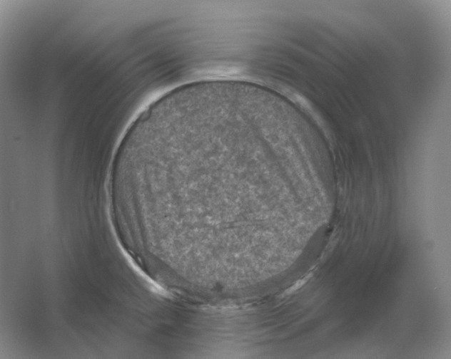 X0000066511432200604141736