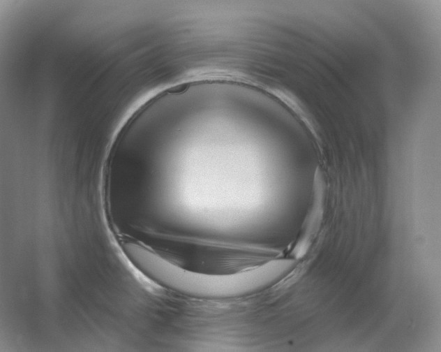 X0000066511438200604141737