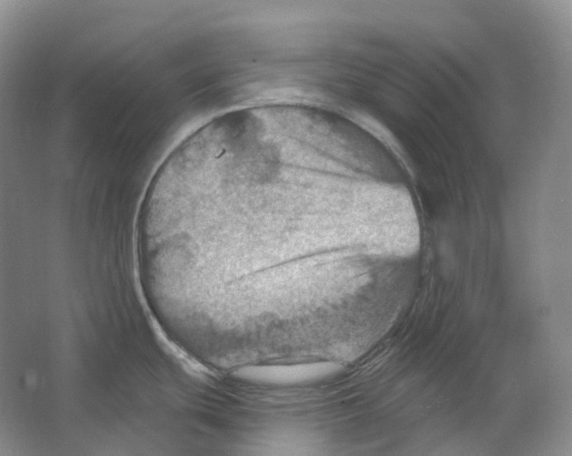 X0000066511439200604141737