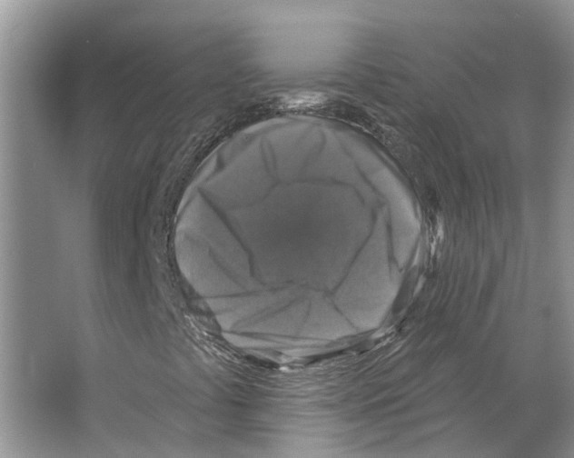 X0000066511441200604141736