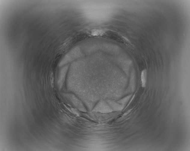 X0000066511443200604141736