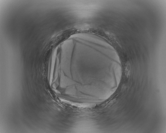 X0000066511445200604141736
