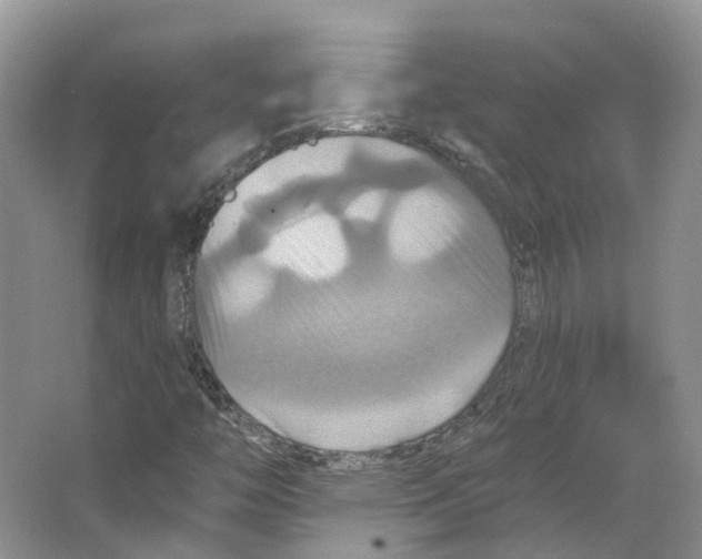 X0000066511446200604141736