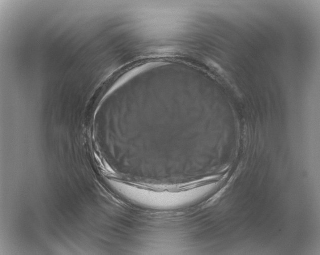 X0000066511449200604141736