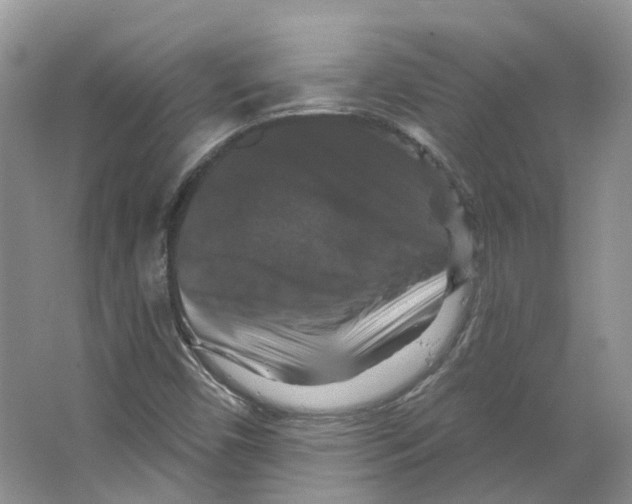 X0000066511450200604141736