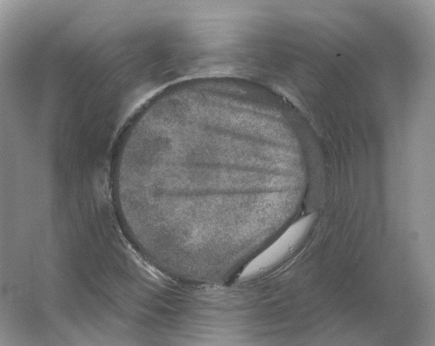 X0000066511452200604141736