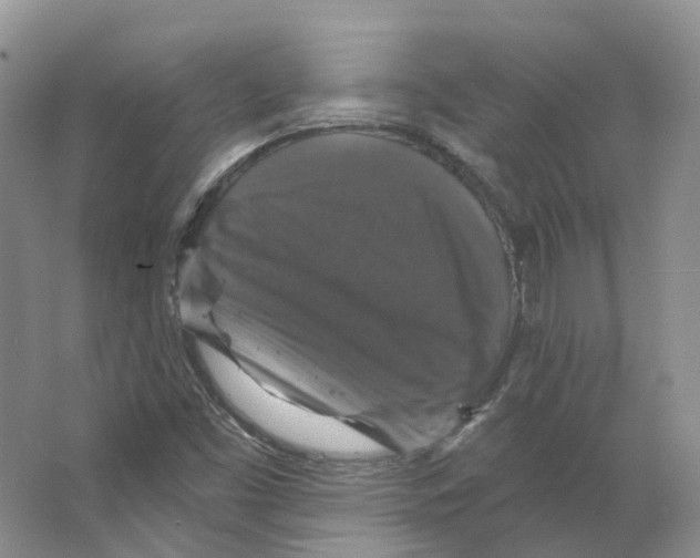 X0000066511453200604141736