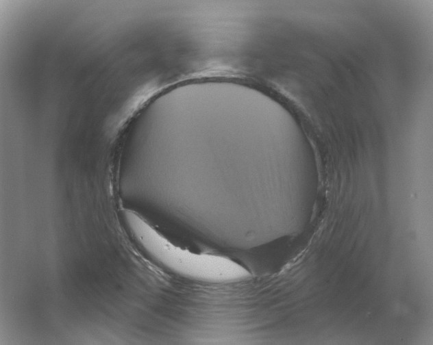 X0000066511455200604141736