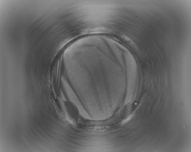 X0000066511457200604141736