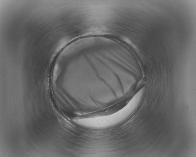 X0000066511459200604141736