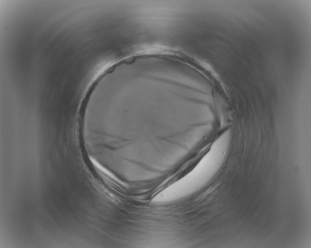 X0000066511463200604141735