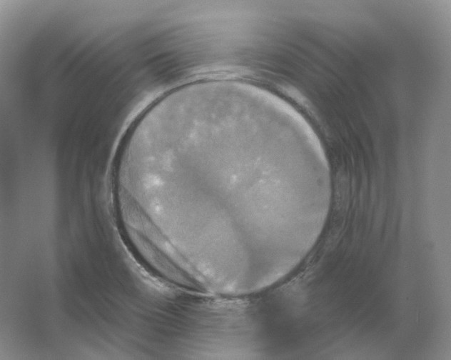 X0000066511466200604141735