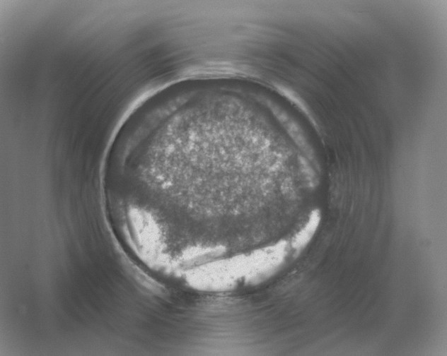 X0000066511475200604141735