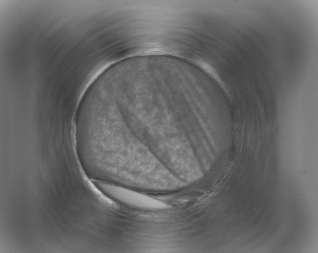 X0000066511476200604141735