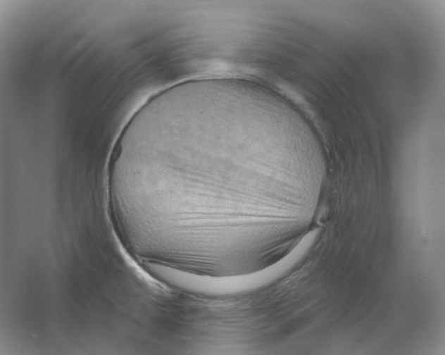 X0000066511479200604141735