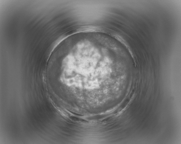X0000066511481200604141735