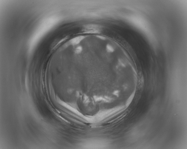 X0000066511487200604141735