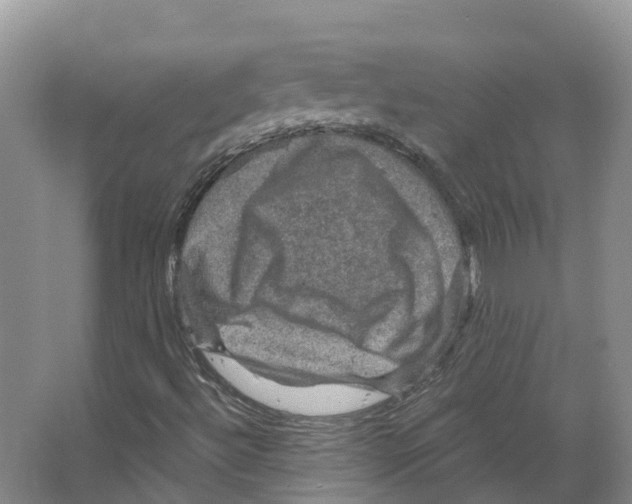 X0000066511492200604141734