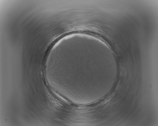 X0000066511497200604141734