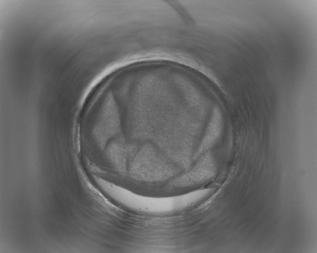 X0000066511510200604141735