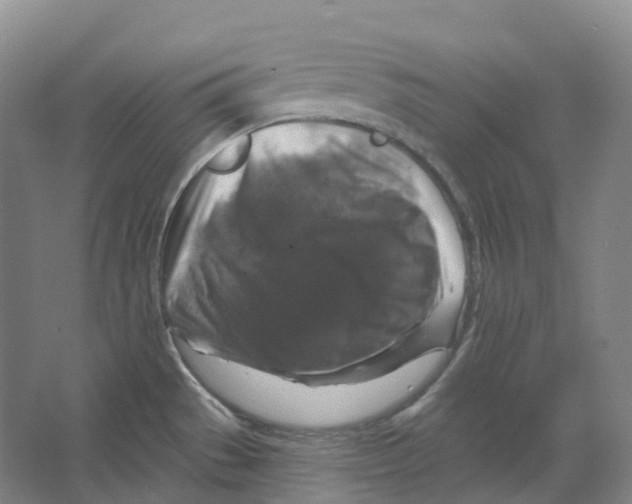 X0000066511529200604141735