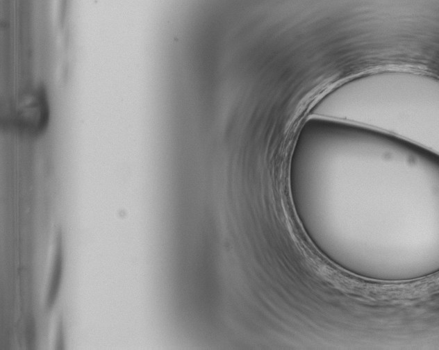 X0000066520001200603171002