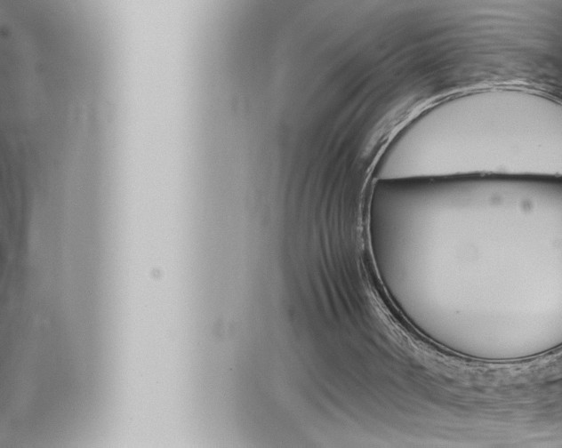 X0000066520002200603171002