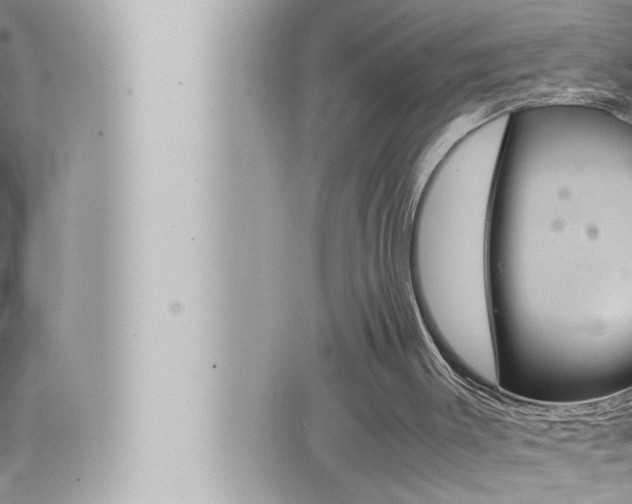 X0000066520003200603171002