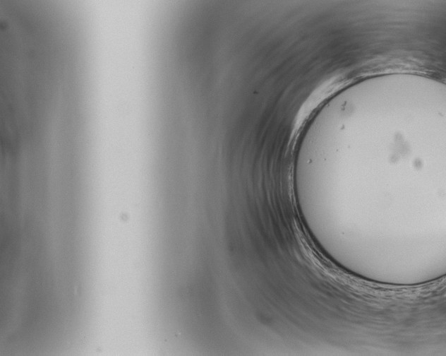 X0000066520004200603171002